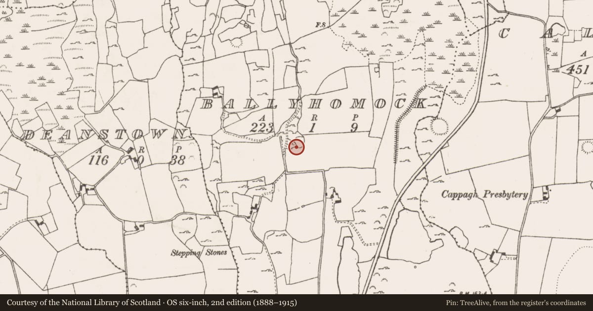 Ordnance Survey six-inch map, 2nd edition (1888–1915) covering the location of Ringfort - cashel, Ballyhomock, County Limerick, with a pin at the register's coordinates