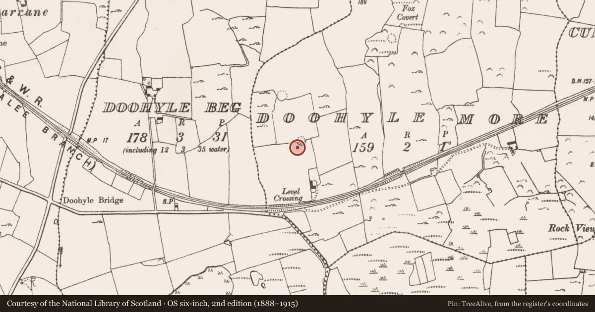 Ordnance Survey six-inch map, 2nd edition (1888–1915) covering the location of Ringfort - rath, Doohyle More, County Limerick, with a pin at the register's coordinates