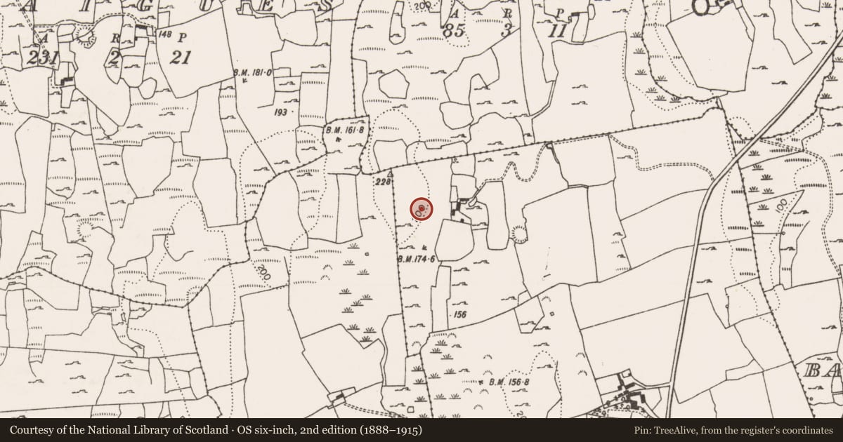 Ordnance Survey six-inch map, 2nd edition (1888–1915) covering the location of Ringfort - rath, Callow, County Limerick, with a pin at the register's coordinates