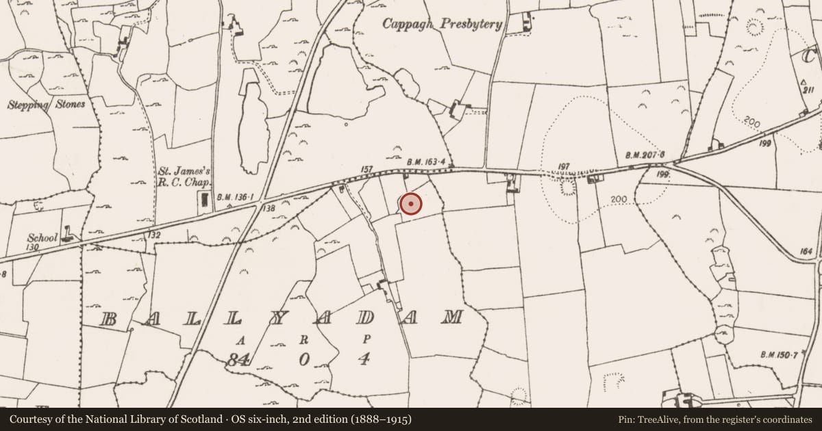 Ordnance Survey six-inch map, 2nd edition (1888–1915) covering the location of Ringfort - rath, Ballyadam, County Limerick, with a pin at the register's coordinates