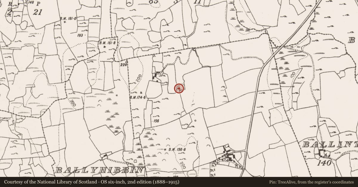 Ordnance Survey six-inch map, 2nd edition (1888–1915) covering the location of Ringfort - rath, Callow, County Limerick, with a pin at the register's coordinates