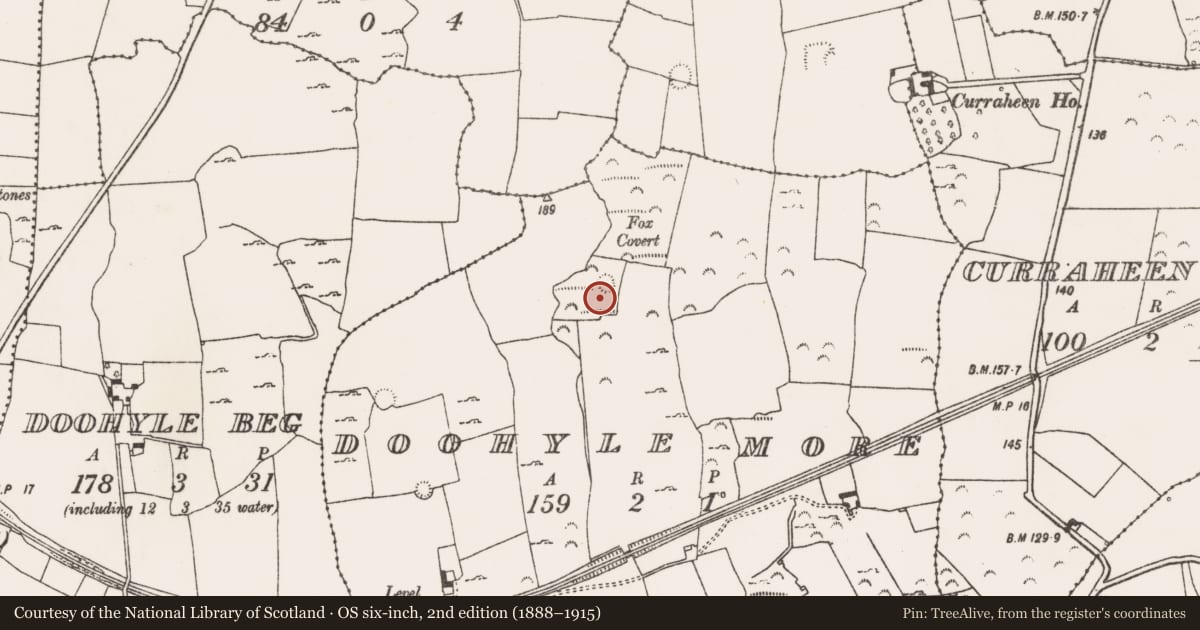 Ordnance Survey six-inch map, 2nd edition (1888–1915) covering the location of Ringfort - rath, Doohyle More, County Limerick, with a pin at the register's coordinates