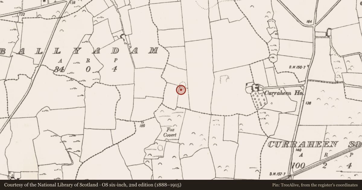 Ordnance Survey six-inch map, 2nd edition (1888–1915) covering the location of Ringfort - cashel, Callow, County Limerick, with a pin at the register's coordinates
