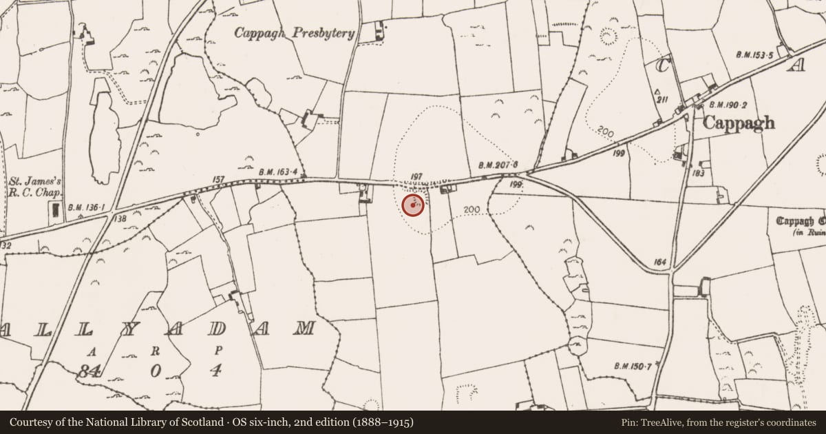 Ordnance Survey six-inch map, 2nd edition (1888–1915) covering the location of Ringfort - rath, Callow, County Limerick, with a pin at the register's coordinates
