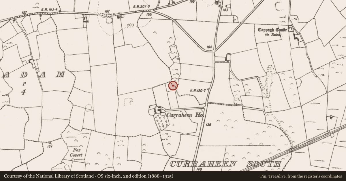 Ordnance Survey six-inch map, 2nd edition (1888–1915) covering the location of Ringfort - cashel, Cappagh, County Limerick, with a pin at the register's coordinates