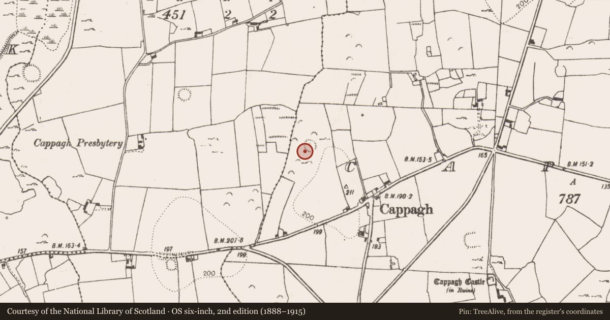 Ordnance Survey six-inch map, 2nd edition (1888–1915) covering the location of Ringfort - rath, Cappagh, County Limerick, with a pin at the register's coordinates