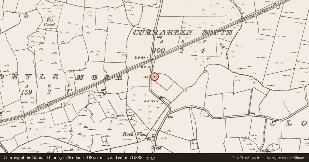 Ordnance Survey six-inch map, 2nd edition (1888–1915) covering the location of Ringfort - rath, Curraheen South, County Limerick, with a pin at the register's coordinates