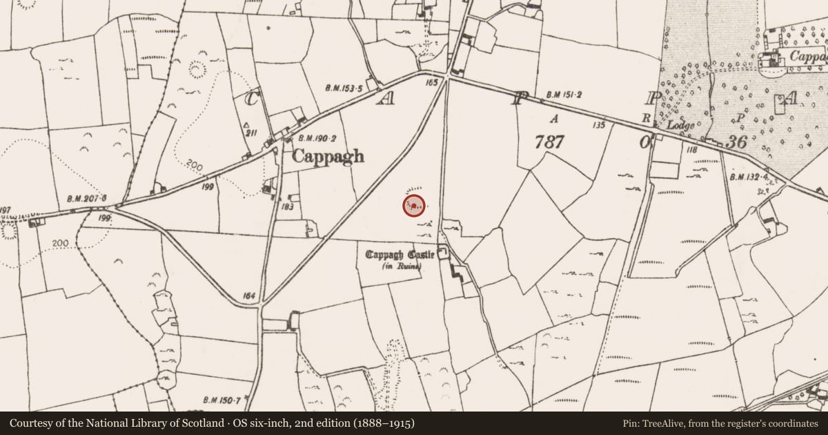 Ordnance Survey six-inch map, 2nd edition (1888–1915) covering the location of Ringfort - rath, Cappagh, County Limerick, with a pin at the register's coordinates