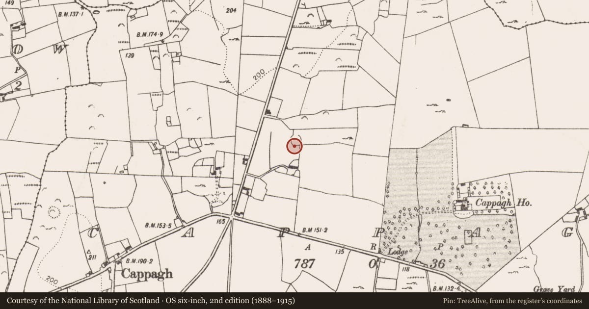 Ordnance Survey six-inch map, 2nd edition (1888–1915) covering the location of Ringfort - cashel, Cappagh, County Limerick, with a pin at the register's coordinates