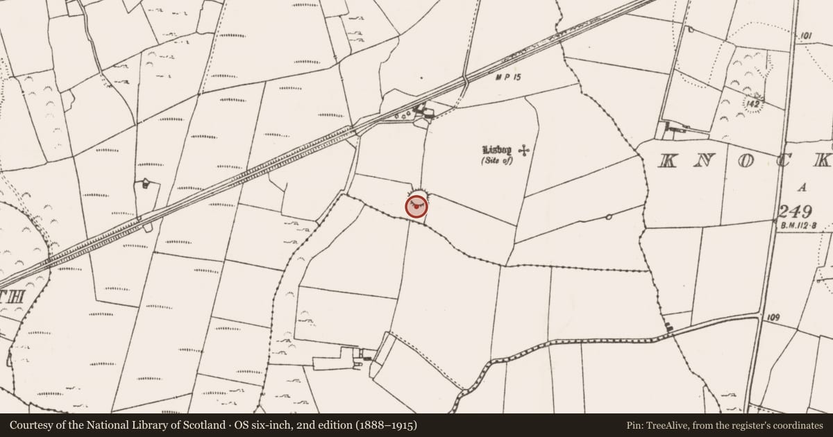 Ordnance Survey six-inch map, 2nd edition (1888–1915) covering the location of Ringfort - rath, Cappagh, County Limerick, with a pin at the register's coordinates