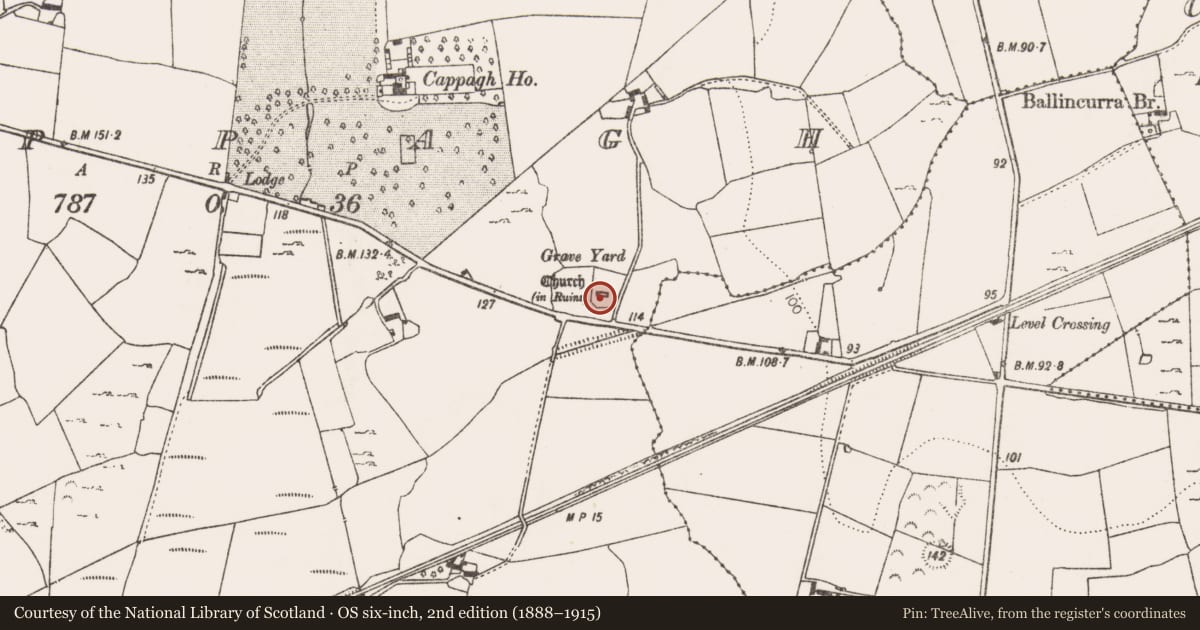 Ordnance Survey six-inch map, 2nd edition (1888–1915) covering the location of Church, Cappagh, County Limerick, with a pin at the register's coordinates