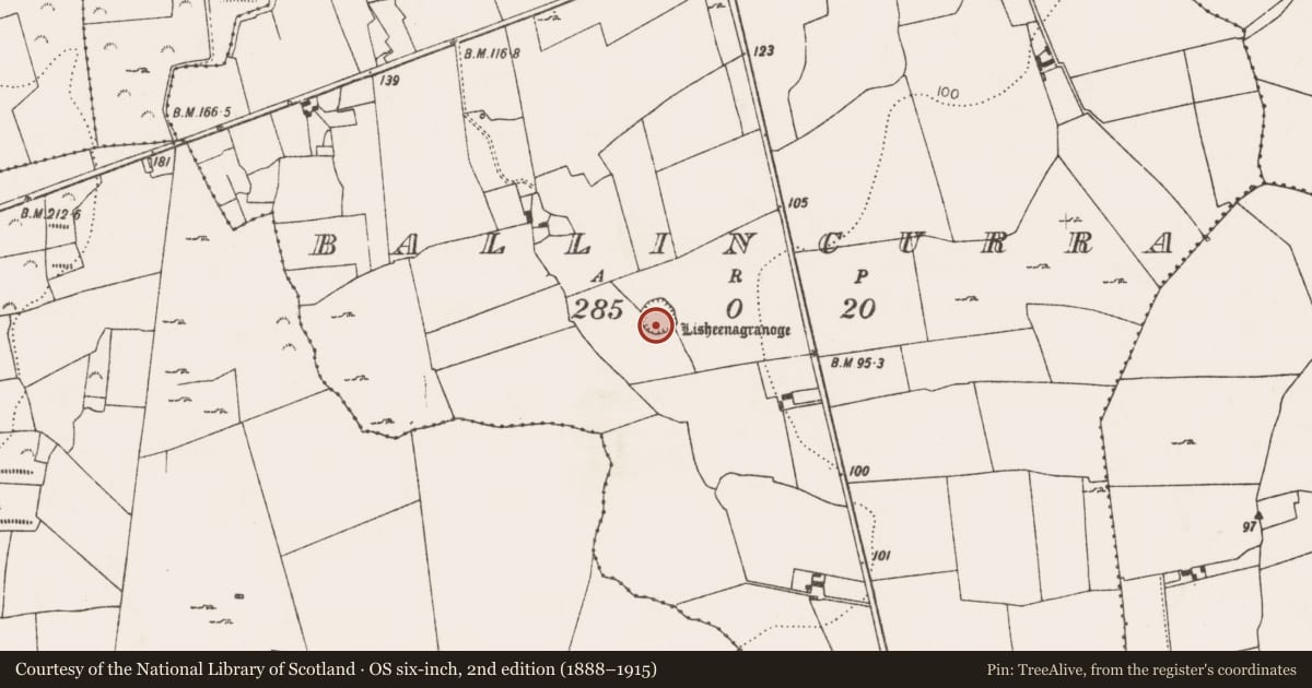 Ordnance Survey six-inch map, 2nd edition (1888–1915) covering the location of Ringfort - rath, Ballincurra, County Limerick, with a pin at the register's coordinates
