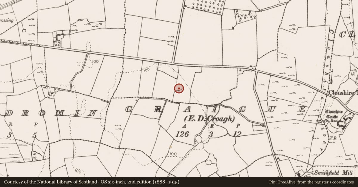Ordnance Survey six-inch map, 2nd edition (1888–1915) covering the location of Ringfort - rath, Ballinvira, County Limerick, with a pin at the register's coordinates