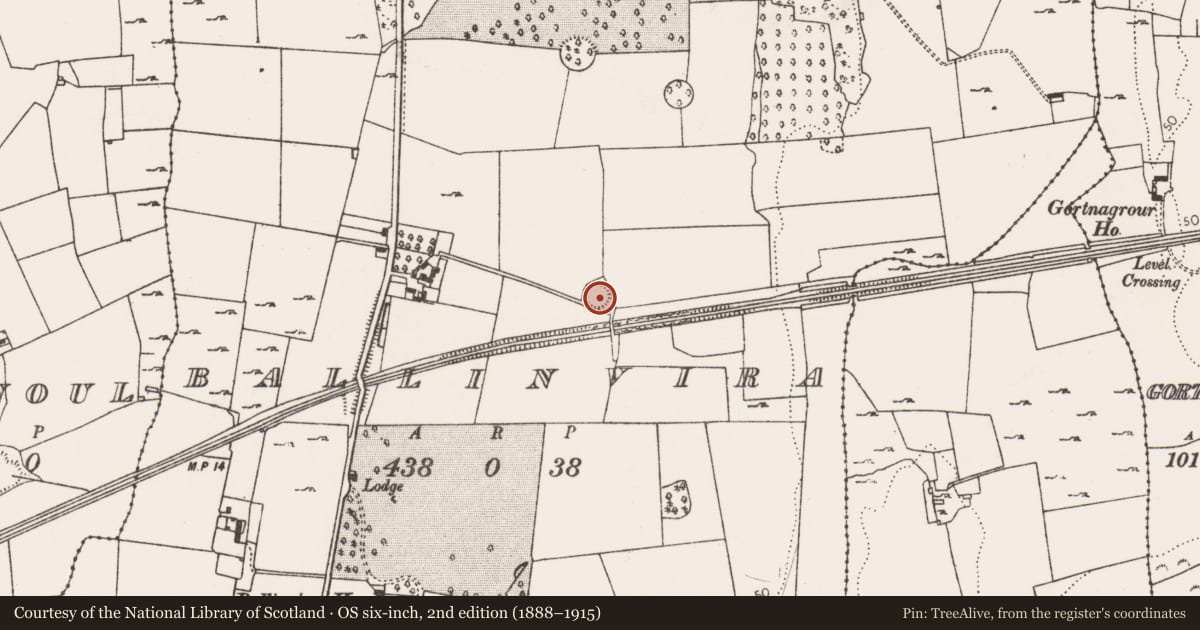 Ordnance Survey six-inch map, 2nd edition (1888–1915) covering the location of Ringfort - rath, Ballinvira, County Limerick, with a pin at the register's coordinates