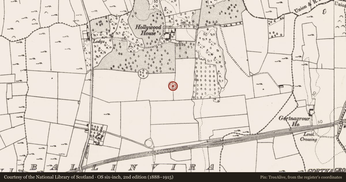 Ordnance Survey six-inch map, 2nd edition (1888–1915) covering the location of Ringfort - cashel, Ballinvira, County Limerick, with a pin at the register's coordinates