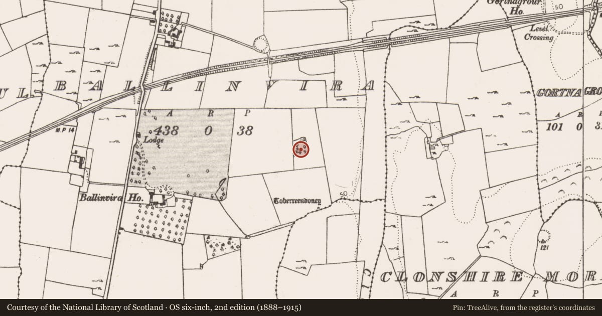Ordnance Survey six-inch map, 2nd edition (1888–1915) covering the location of Enclosure, Ballinvira, County Limerick, with a pin at the register's coordinates