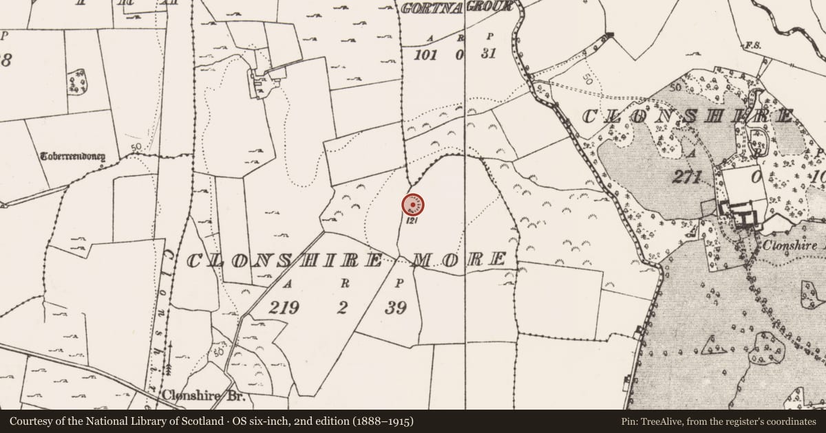 Ordnance Survey six-inch map, 2nd edition (1888–1915) covering the location of Ringfort - rath, Clonshire More, County Limerick, with a pin at the register's coordinates