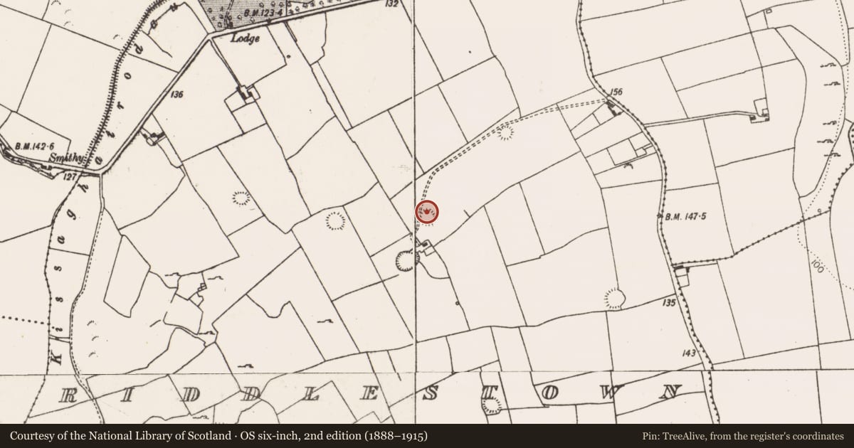 Ordnance Survey six-inch map, 2nd edition (1888–1915) covering the location of Enclosure, Riddlestown, County Limerick, with a pin at the register's coordinates