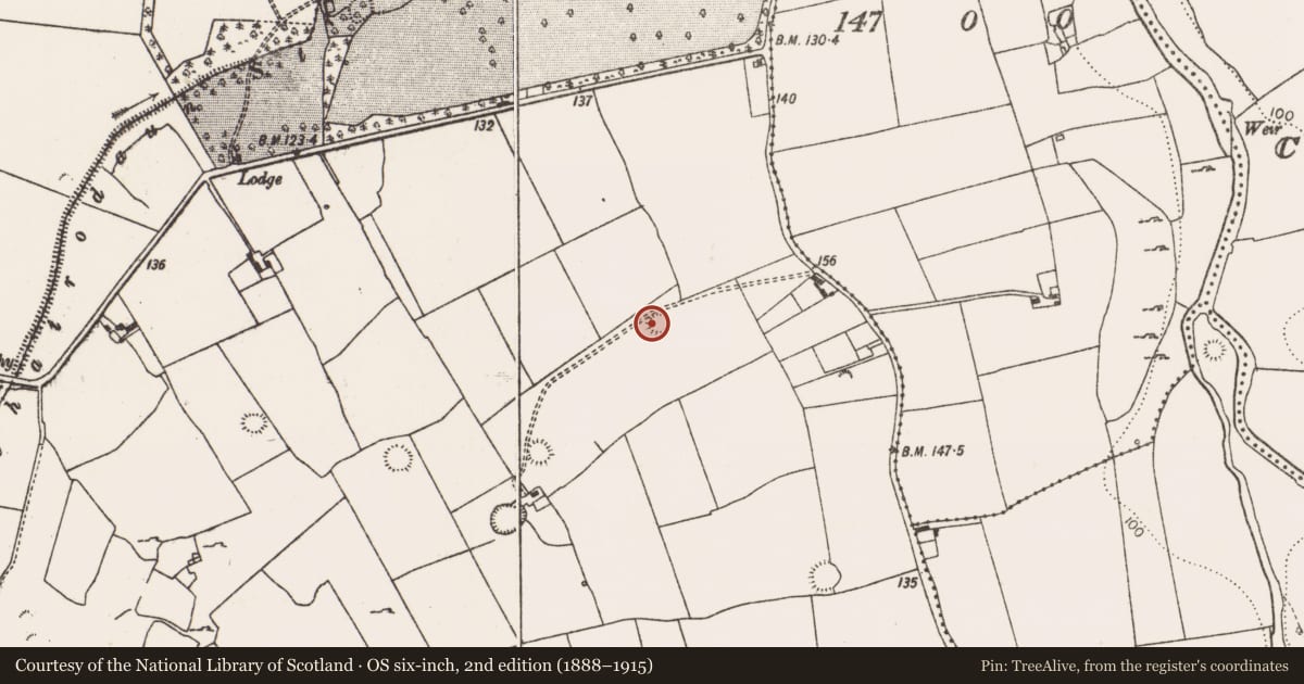 Ordnance Survey six-inch map, 2nd edition (1888–1915) covering the location of Ringfort - rath, Riddlestown, County Limerick, with a pin at the register's coordinates