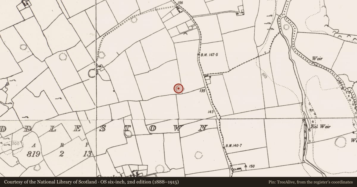 Ordnance Survey six-inch map, 2nd edition (1888–1915) covering the location of Ringfort - rath, Riddlestown, County Limerick, with a pin at the register's coordinates