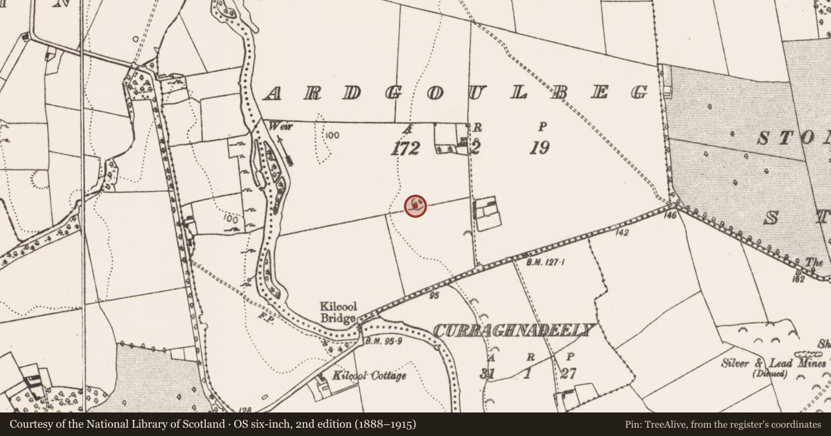 Ordnance Survey six-inch map, 2nd edition (1888–1915) covering the location of Ringfort - rath, Ardgoulbeg, County Limerick, with a pin at the register's coordinates