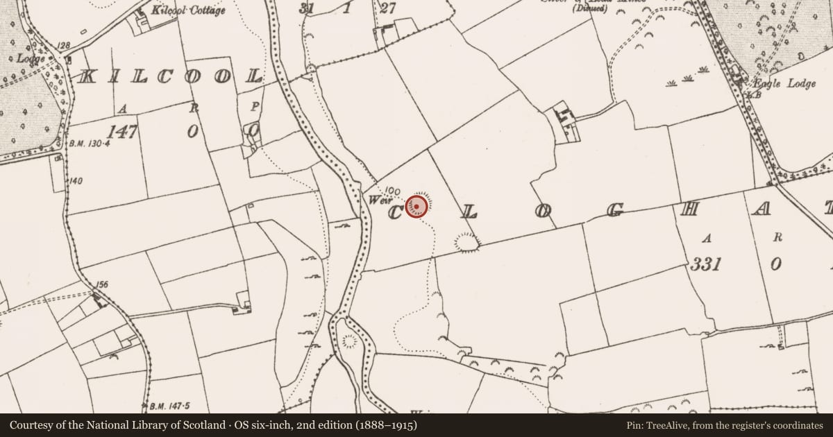 Ordnance Survey six-inch map, 2nd edition (1888–1915) covering the location of Ringfort - rath, Cloghatrida, County Limerick, with a pin at the register's coordinates