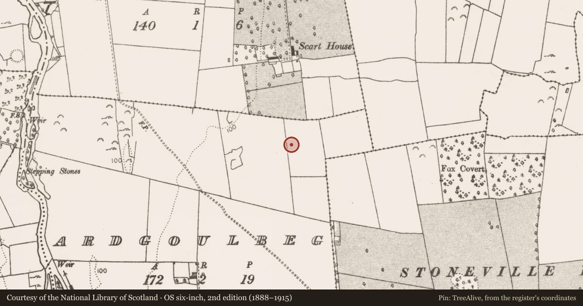 Ordnance Survey six-inch map, 2nd edition (1888–1915) covering the location of Ringfort - rath, Ardgoulbeg, County Limerick, with a pin at the register's coordinates