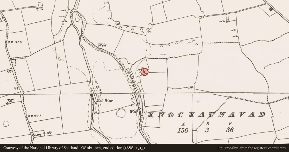 Ordnance Survey six-inch map, 2nd edition (1888–1915) covering the location of Ringfort - rath, Knockaunavad, County Limerick, with a pin at the register's coordinates
