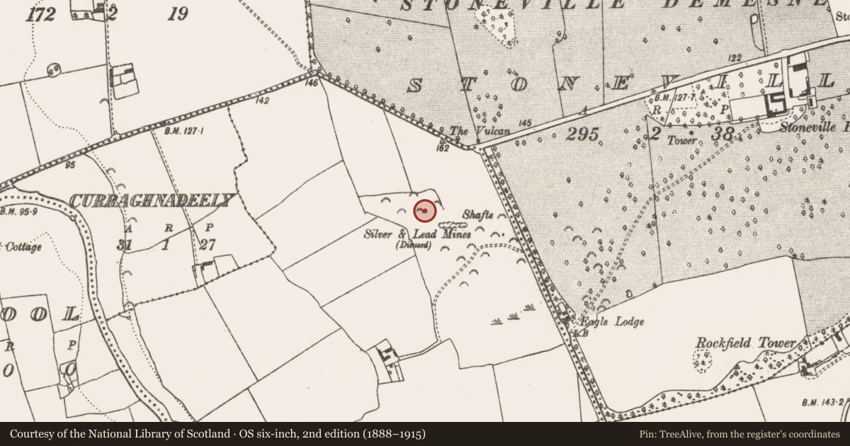 Ordnance Survey six-inch map, 2nd edition (1888–1915) covering the location of Ringfort - rath, Cloghatrida, County Limerick, with a pin at the register's coordinates