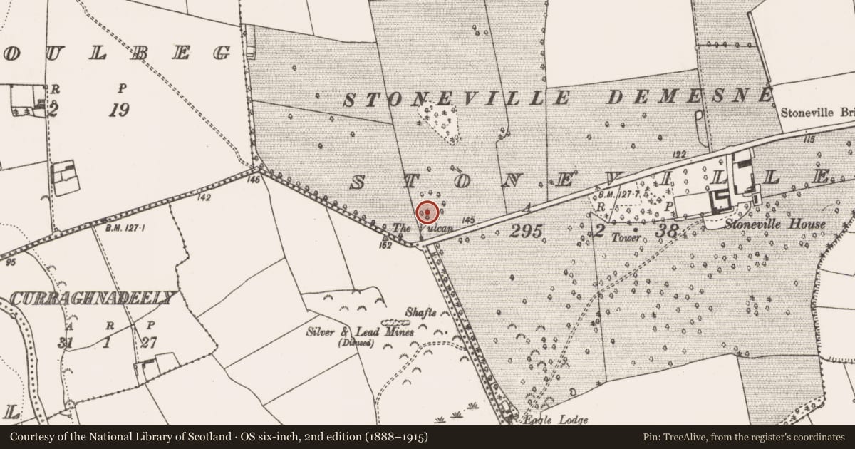 Ordnance Survey six-inch map, 2nd edition (1888–1915) covering the location of Designed landscape - tree-ring, Stoneville, County Limerick, with a pin at the register's coordinates