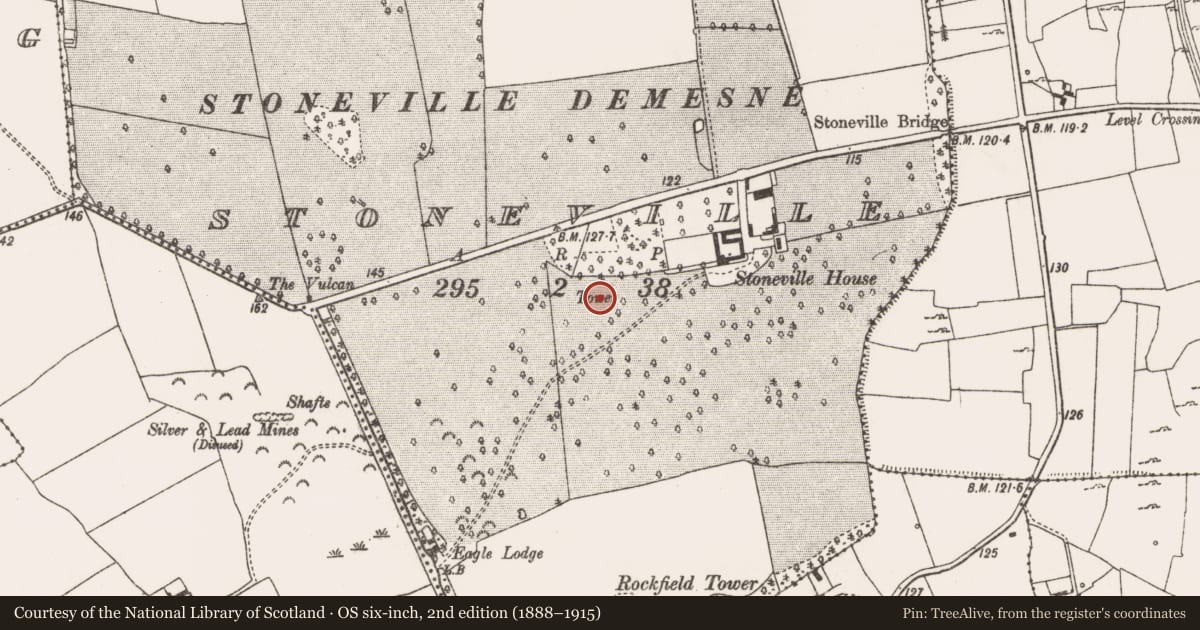 Ordnance Survey six-inch map, 2nd edition (1888–1915) covering the location of Castle - tower house, Stoneville, County Limerick, with a pin at the register's coordinates