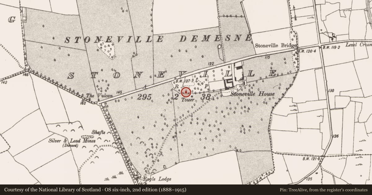 Ordnance Survey six-inch map, 2nd edition (1888–1915) covering the location of Bawn, Stoneville, County Limerick, with a pin at the register's coordinates