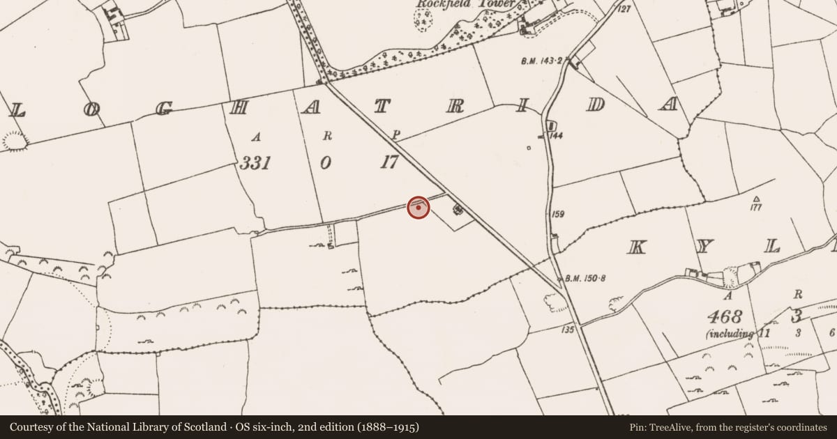 Ordnance Survey six-inch map, 2nd edition (1888–1915) covering the location of Ringfort - rath, Cloghatrida, County Limerick, with a pin at the register's coordinates