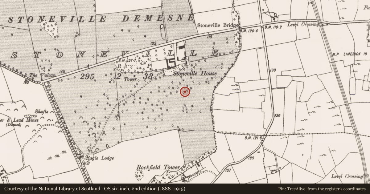 Ordnance Survey six-inch map, 2nd edition (1888–1915) covering the location of Designed landscape - tree-ring, Stoneville, County Limerick, with a pin at the register's coordinates