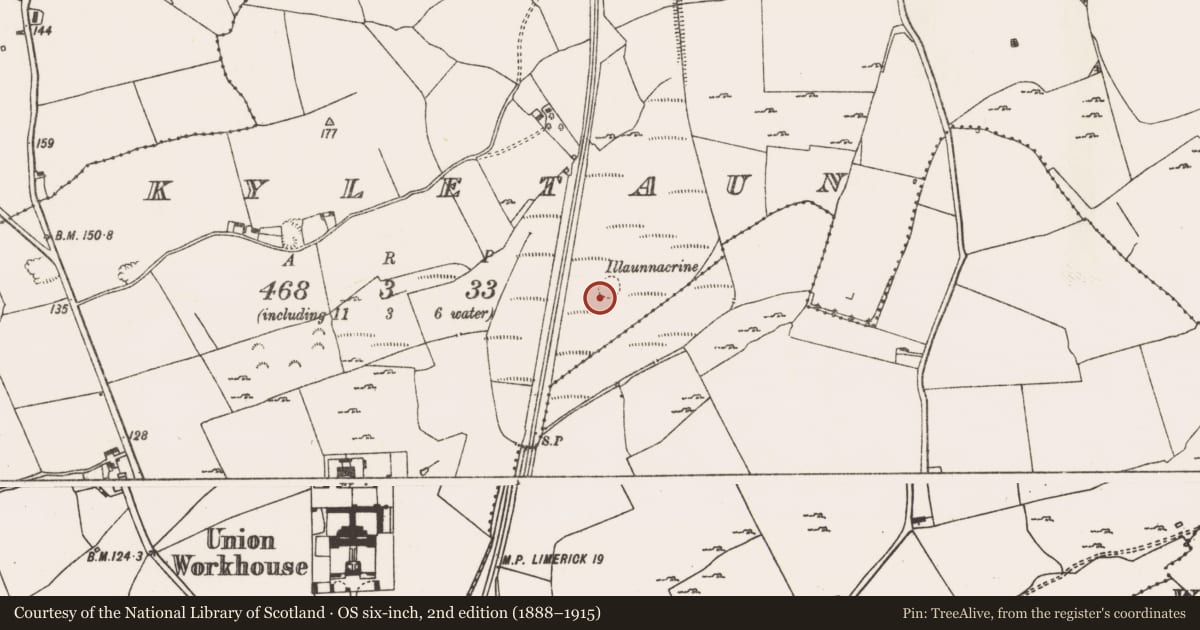 Ordnance Survey six-inch map, 2nd edition (1888–1915) covering the location of Crannog, Kyletaun, County Limerick, with a pin at the register's coordinates