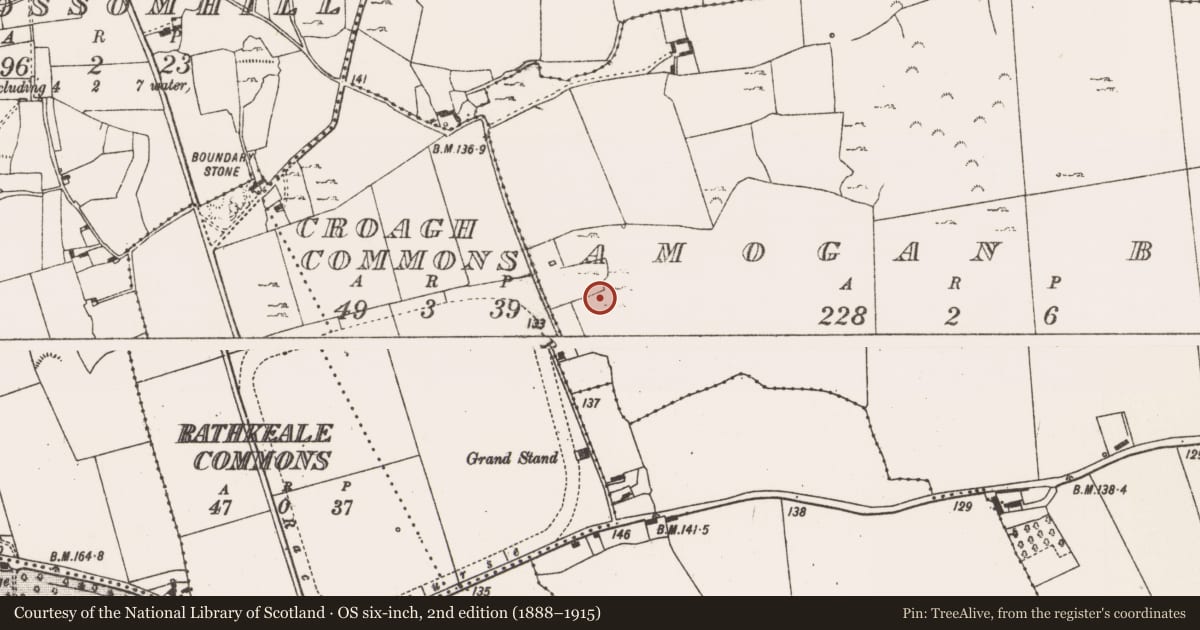 Ordnance Survey six-inch map, 2nd edition (1888–1915) covering the location of Enclosure, Amogan Beg, County Limerick, with a pin at the register's coordinates