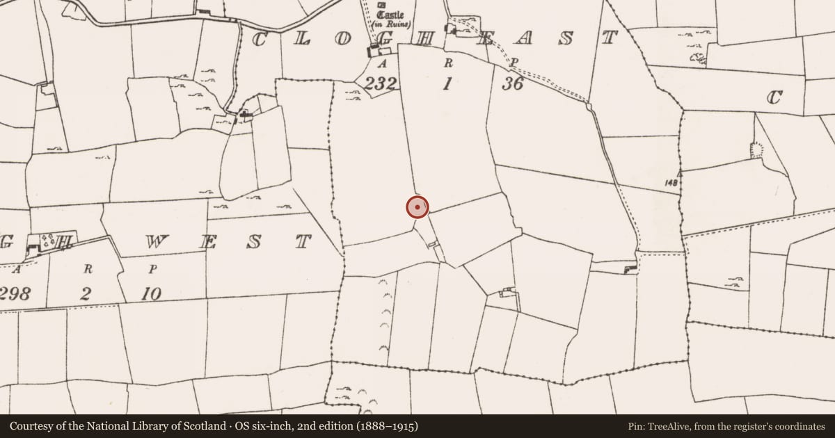 Ordnance Survey six-inch map, 2nd edition (1888–1915) covering the location of Ringfort - rath, Clogh East, County Limerick, with a pin at the register's coordinates