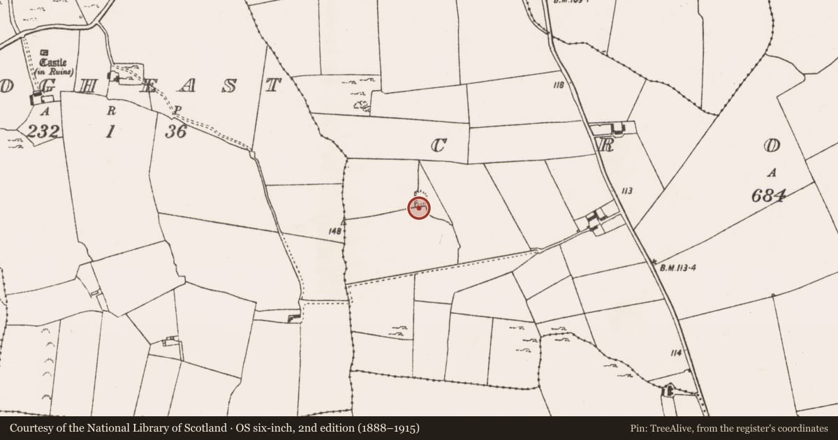Ordnance Survey six-inch map, 2nd edition (1888–1915) covering the location of Ringfort - rath, Croagh, County Limerick, with a pin at the register's coordinates