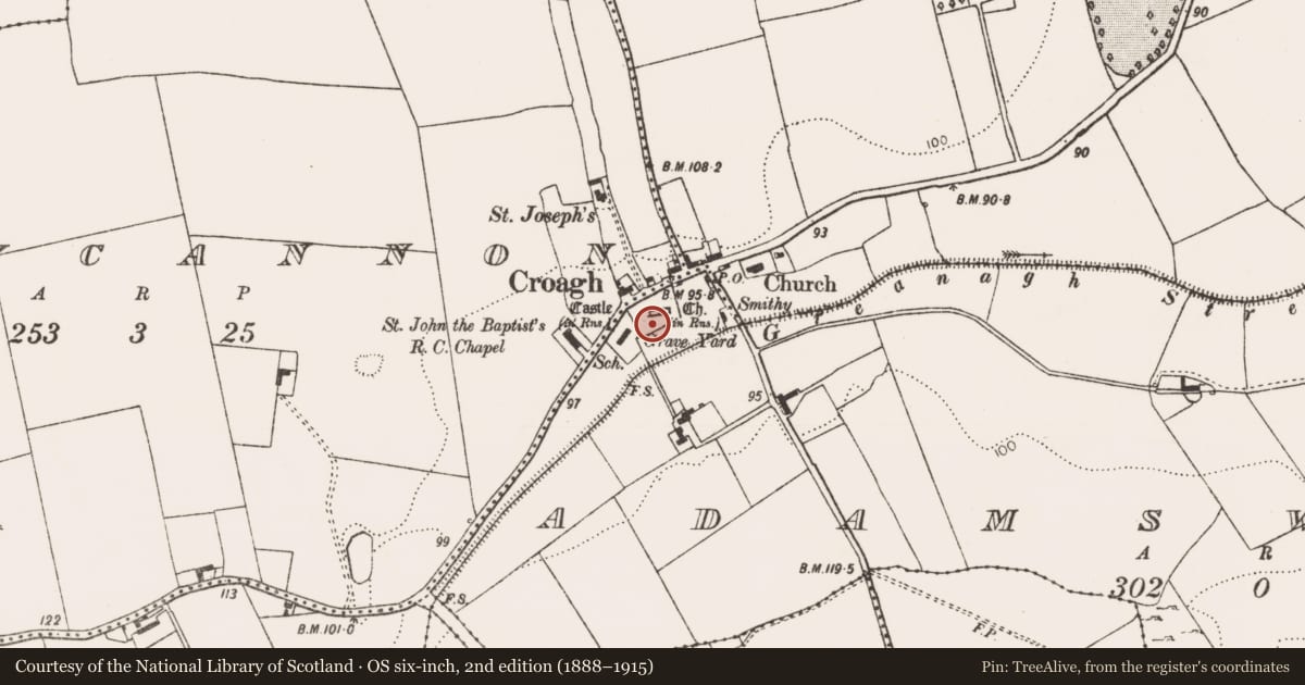 Ordnance Survey six-inch map, 2nd edition (1888–1915) covering the location of Town, County Limerick, with a pin at the register's coordinates