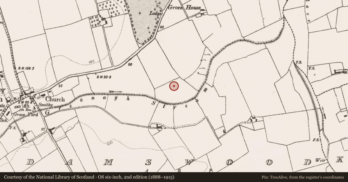 Ordnance Survey six-inch map, 2nd edition (1888–1915) covering the location of Ringfort - rath, Croagh, County Limerick, with a pin at the register's coordinates