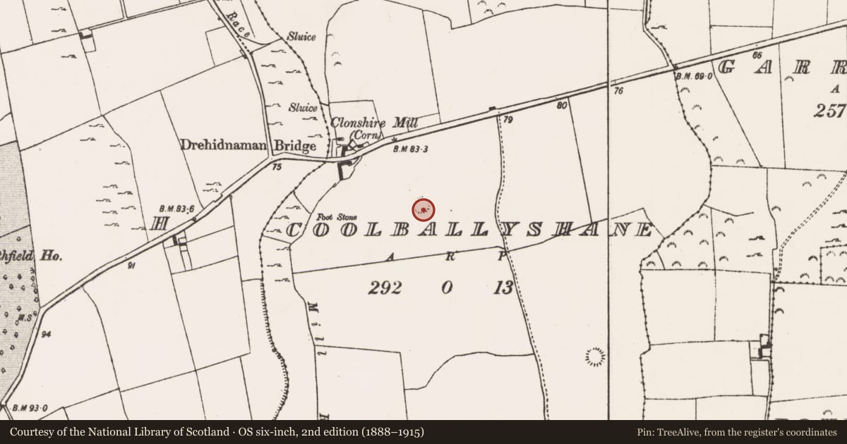 Ordnance Survey six-inch map, 2nd edition (1888–1915) covering the location of Ringfort - rath, Coolballyshane, County Limerick, with a pin at the register's coordinates