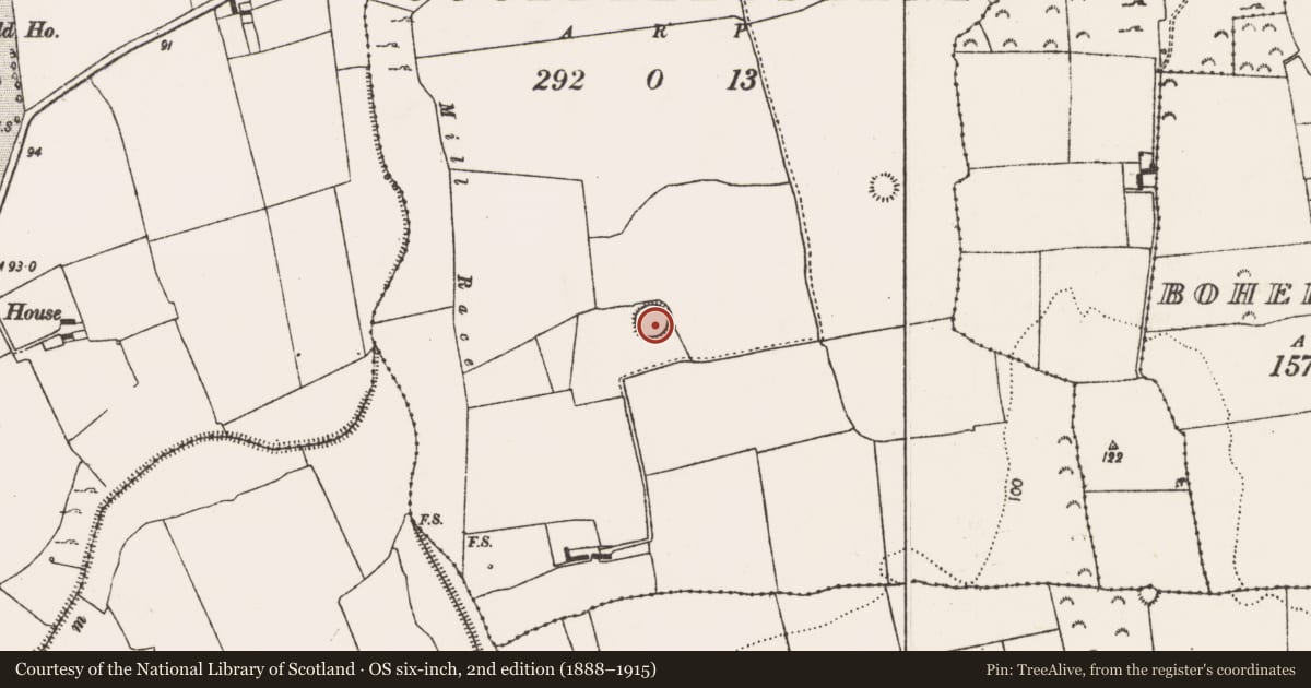 Ordnance Survey six-inch map, 2nd edition (1888–1915) covering the location of Ringfort - rath, Coolballyshane, County Limerick, with a pin at the register's coordinates