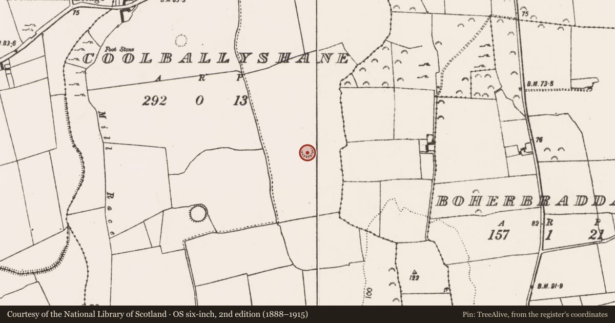 Ordnance Survey six-inch map, 2nd edition (1888–1915) covering the location of Ringfort - rath, Coolballyshane, County Limerick, with a pin at the register's coordinates