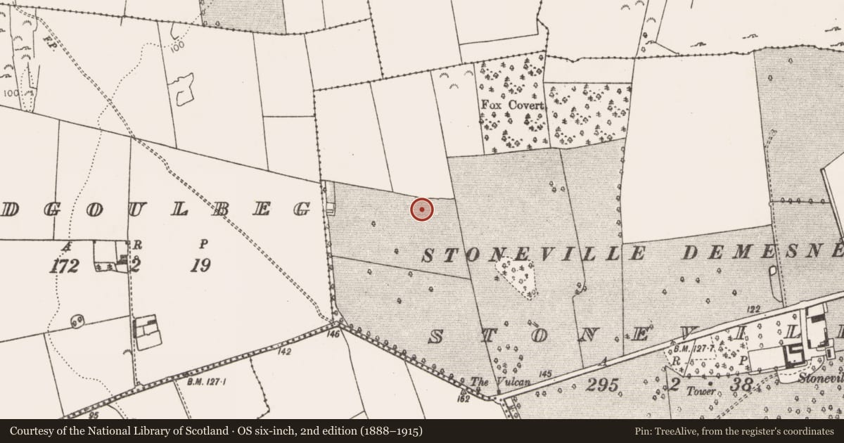 Ordnance Survey six-inch map, 2nd edition (1888–1915) covering the location of Enclosure, Stoneville, County Limerick, with a pin at the register's coordinates