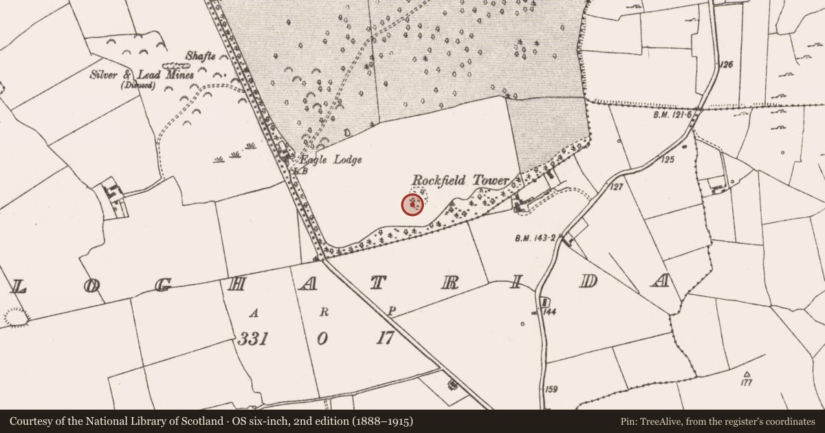 Ordnance Survey six-inch map, 2nd edition (1888–1915) covering the location of Enclosure, Stoneville, County Limerick, with a pin at the register's coordinates