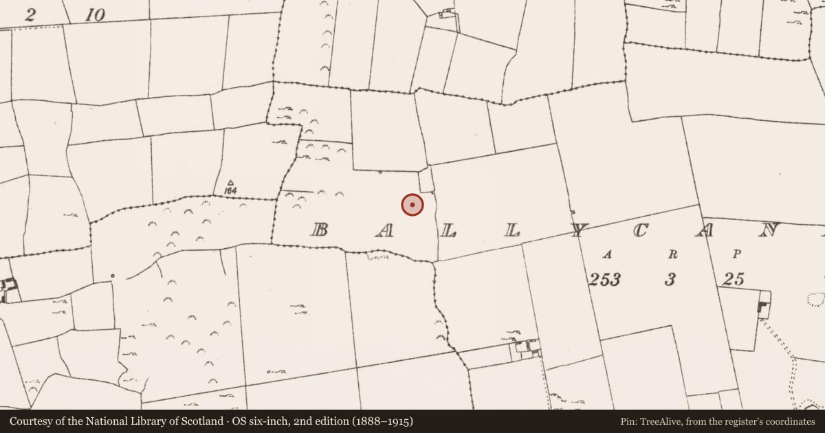 Ordnance Survey six-inch map, 2nd edition (1888–1915) covering the location of Ringfort - rath, Ballycannon, County Limerick, with a pin at the register's coordinates
