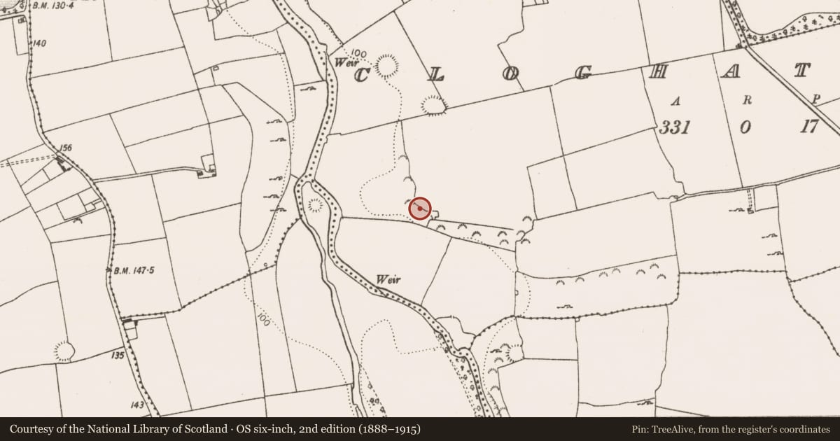 Ordnance Survey six-inch map, 2nd edition (1888–1915) covering the location of Ringfort - rath, Cloghatrida, County Limerick, with a pin at the register's coordinates
