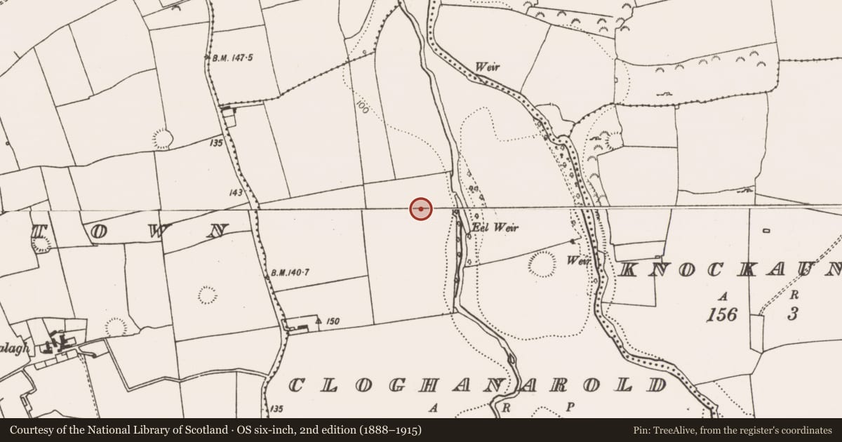 Ordnance Survey six-inch map, 2nd edition (1888–1915) covering the location of Enclosure, Cloghanarold, County Limerick, with a pin at the register's coordinates