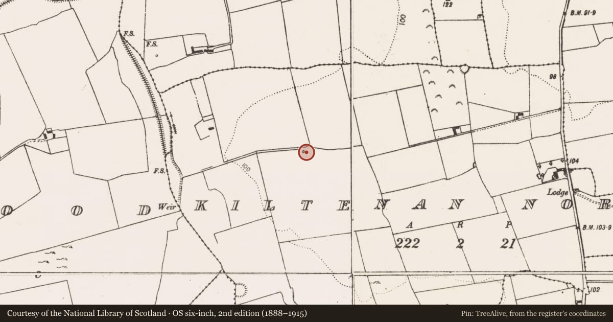Ordnance Survey six-inch map, 2nd edition (1888–1915) covering the location of Kiln - lime, Kiltenan North, County Limerick, with a pin at the register's coordinates