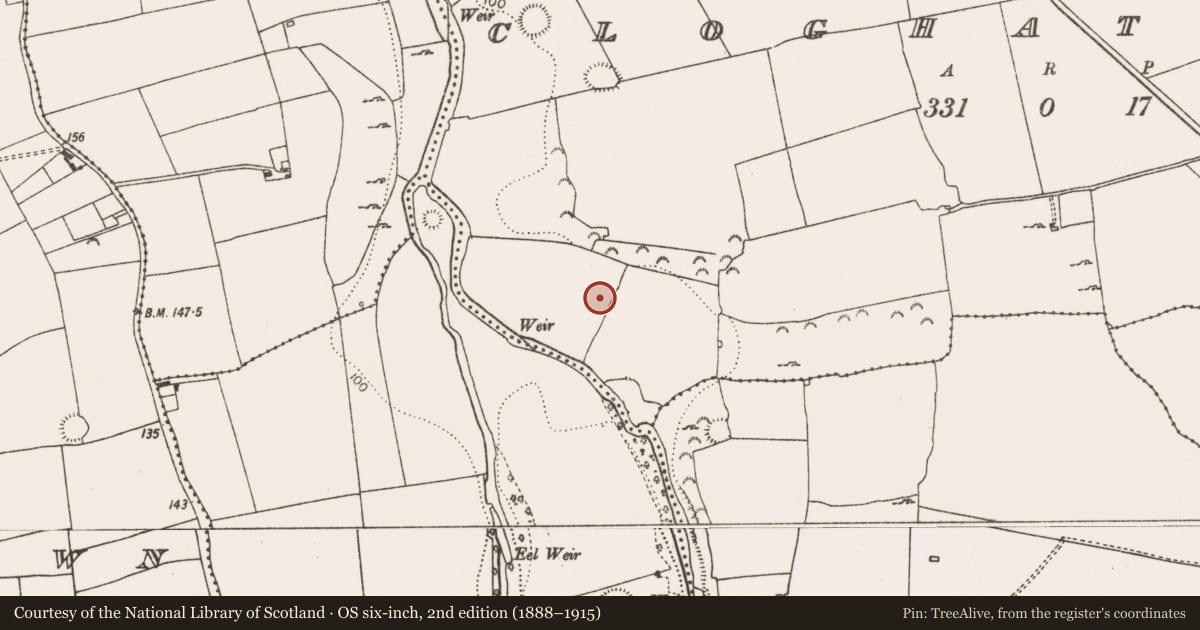 Ordnance Survey six-inch map, 2nd edition (1888–1915) covering the location of Standing stone, Cloghatrida, County Limerick, with a pin at the register's coordinates